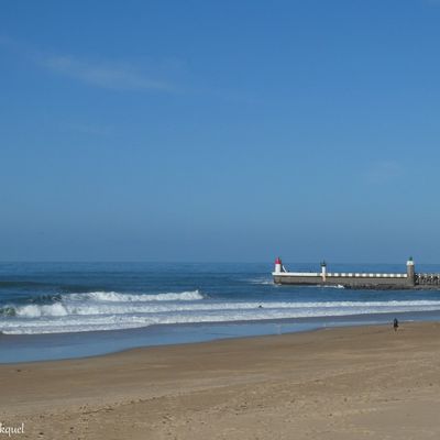 Une balade à CAPBRETON (40), le 30 janvier...
