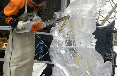 Scupture sur glace à Andernos...