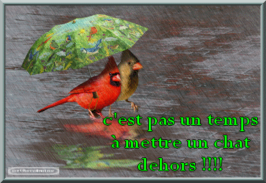 Pluie (acrostiche)