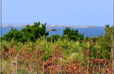 1085 - Île Molène, dans le Finistère Nord (29N) (Suite2)