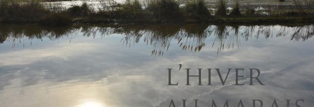 L'hiver au marais
