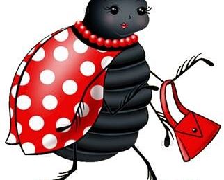 Coccinelle