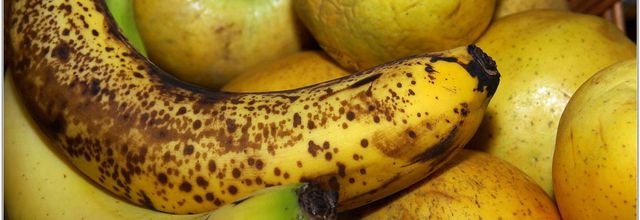 Fruits (1)