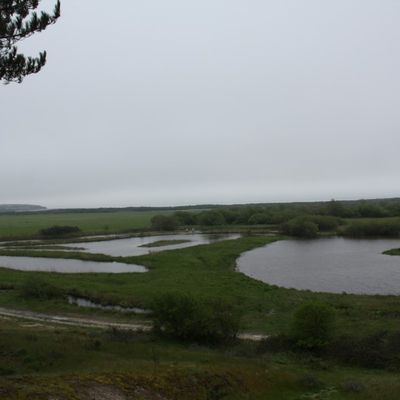 PARC DU MARQUENTERRE (Somme - 80)