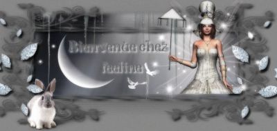 Bienvenue chez Feeline