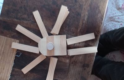 MS : Une année dans la classe des Moyens (4) 