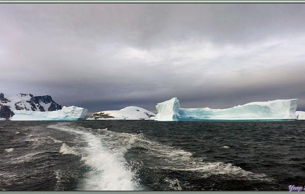 Dès notre embarquement (sous un ciel très plombé qui n'augure rien de bon!) pour rejoindre Pleneau Island, nous naviguons au milieu des icebergs - Péninsule Antarctique