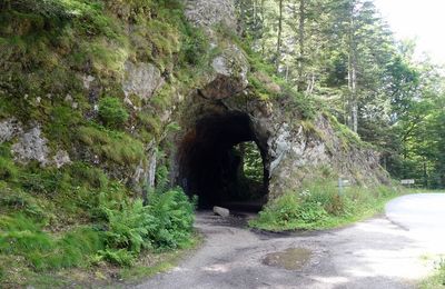 Pique-nique au lac de Retournemer