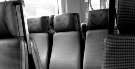 Heureux aléas des transe-porcs en commun