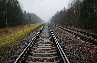 La Ligne, Aharon Appelfeld, traduit de l’hébreu par Valérie Zenatti (L’Olivier)