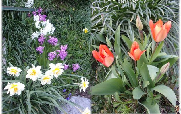 Petit tour au jardin