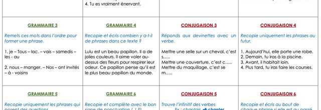 Autonomie CE1 : les cartes français (grammaire, conjugaison, vocabulaire)