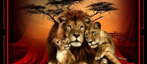 Le roi de la savane .