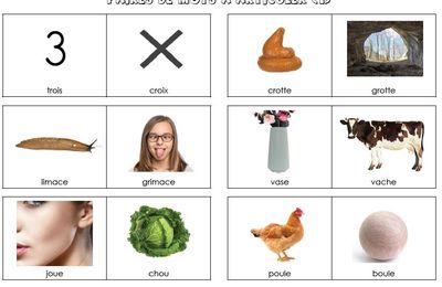 Paires de mots à articuler