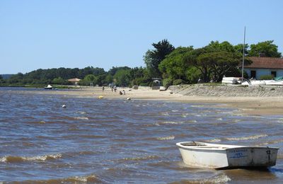EB - Une plage sur le Bassin d'Arcachon, en mai 2020...