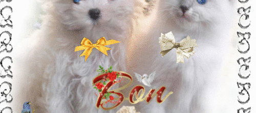 BONSOIR ET BON WEEK END