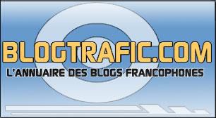 Blog trafic
