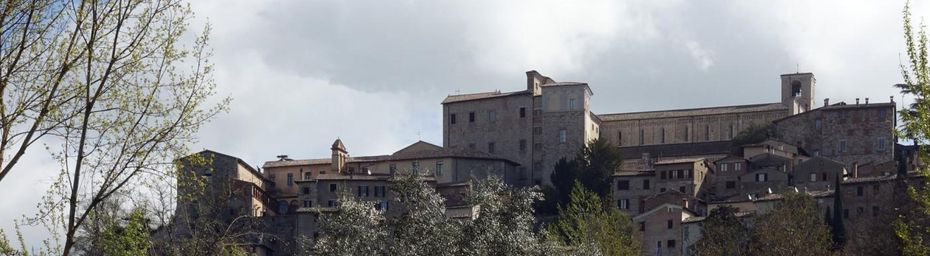 Todi