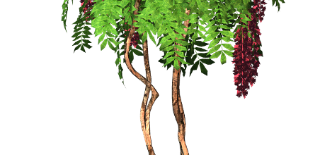 ѼVegetation