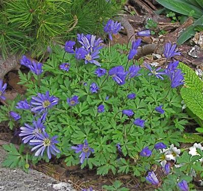 MON 14 JUILLET, MA LIBERTÉ......