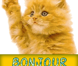 Le Chat