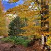 la douceur infinie de l'automne