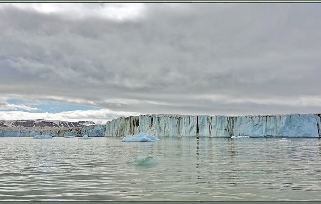 Nous continuons notre progression en Zodiac sous un ciel à nuages lenticulaires et observons un Labbe parasite, Parasitic Jaeger (Stercorarius parasiticus) - Glacier Negribreen - Spitzberg - Svalbard - Norvège