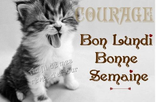 Coucou