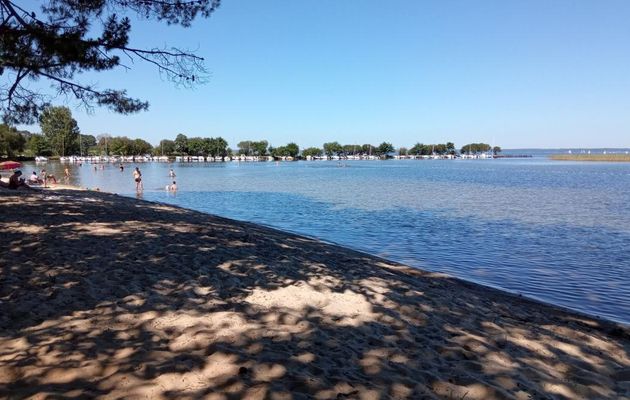 Au Lac de Sanguinet 