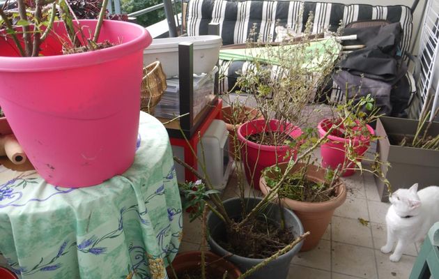 141ANS DE VIE DANS 86 m²