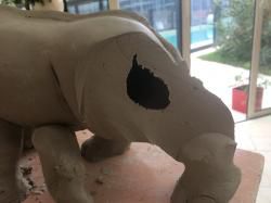 LE RHINOCEROS étape 2