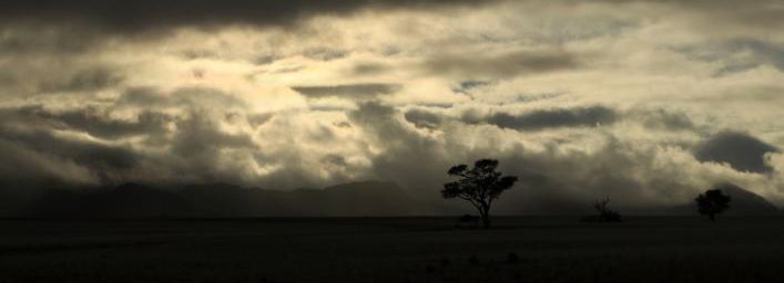 Erg du Namib, jeux de lumière sur la dune Elim