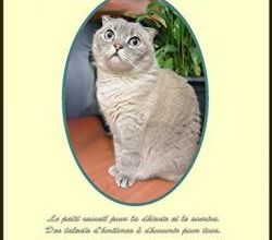 Silence chat tourne !