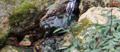 Cache-cache - réponse