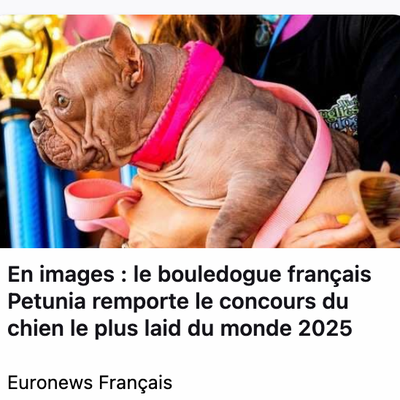 Revue de p(a)resse
