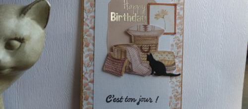 Joyeux Anniversaire ... 17