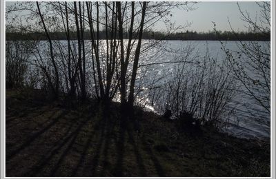 Du contre-jour, pourquoi pas? 