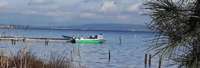 Marseillan