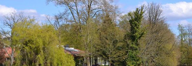Bois de Vincennes : Lac des Minimes