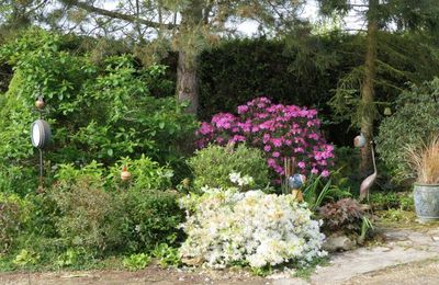 Beautés éphémères