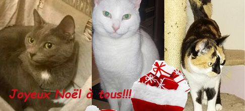 Joyeuses Fêtes