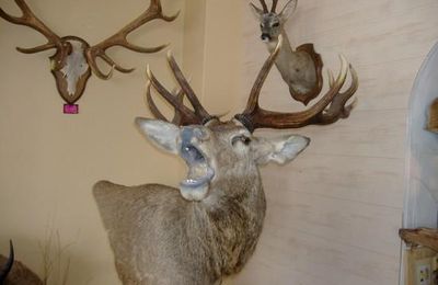 Quelques réalisations de Vincent Espaullard....