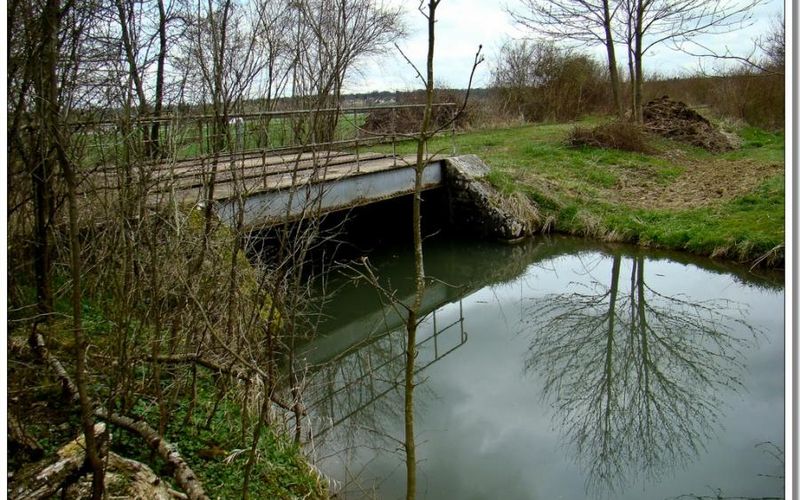 Les voies de l'oubli