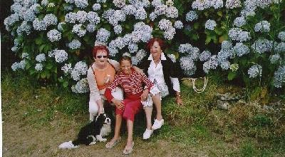Devant les hortensias