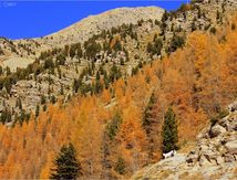 Vers le refuge de l'Estrop #6