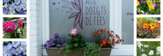 Fleurs chez elle, fleurs chez moi