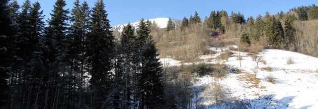 Le Hameaux de St Hugues en Chartreuse