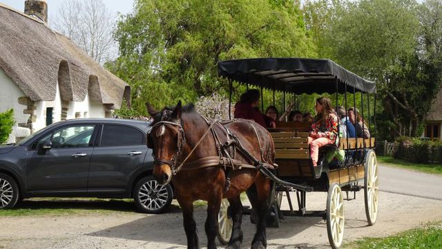Les calèches des canaux de Brière