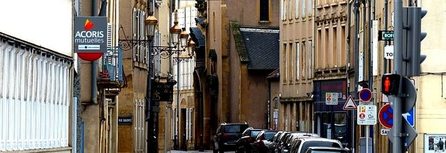 Metz / Les corneilles de la Seille en Outre-Seille...