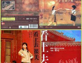 看上去很美 / Kan shang qu hen mei / Little Red Flowers. 2006.